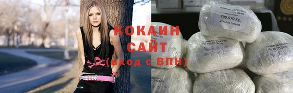 прущие грибы Волосово