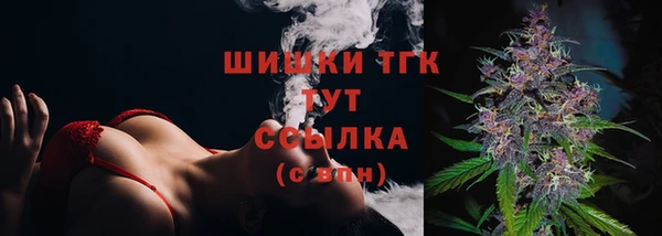 прущие грибы Волосово