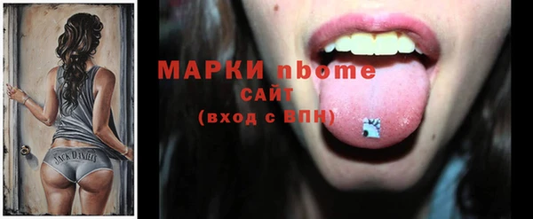 прущие грибы Волосово