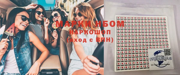прущие грибы Волосово