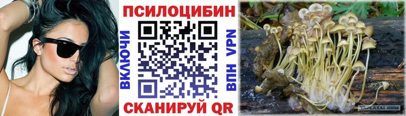 Галлюциногенные грибы GOLDEN TEACHER  как найти наркотики  Новое Девяткино 